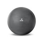 Bola De Ginastica Acte Gym Ball 85cm T9-85 - Chumbo