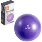 Bola de Ginástica Overball Fitball Fisioterapia Pilates Exercícios 25cm - Acte Sports
