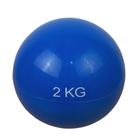 Bola De Peso Tonificadora Sandball Funcional Toning 2Kg