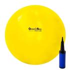 Bola de Pilates Fitball Gynastic Ball 45cm com Bomba Carci