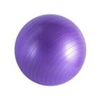 Bola De Pilates Funcional Exercicios Fisioterapia Cor Roxo - Blend Shoop