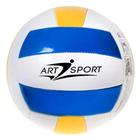 Bola De Vôlei De Praia 21CM - Art Sport