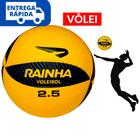 Bola De Vôlei Tamanho Oficial Resistente Furos Voleibol Profissional Rede  Padrão material sintético Competições Torneios - Fratelli - Bola de Vôlei -  Magazine Luiza