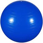 Bola Ginástica 65cm Professional Fisioball FG20 - unidade - Ortho Pauher