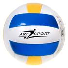 Bola Para Vôlei Esporte Quadra E Praia Costurada Tamanho 5 - Art Brink