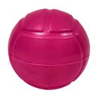 Bola Pra Morder Pet Shop Cão Cachorro Resistente 82mm Rosa