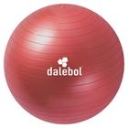 Bola Suíça de Ginástica Funcional Pilates Dalebol 55cm + Bomba