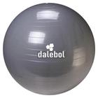 Bola Suíça de Ginástica Funcional Pilates Dalebol 65cm + Bomba