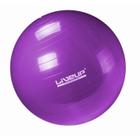 Bola Suica Pilates LIVEUP 55cm Roxo c/ bomba - liveup