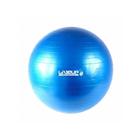 Bola Suiça Premium Pilates Yoga Abdominal Ball 65cm Liveup