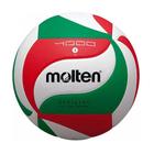 Bola Volleyball Molten V5M4000 T5