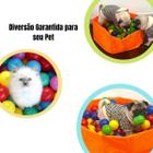 Bolinha Pet Colorida Gato Cachorro Plástico Kit 100 Unidades