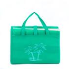 Bolsa E Esteira De Praia Impermeável - Verde