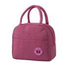 Bolsa Térmica Para Marmita Lancheira Rosa