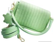 Bolsa Toda em Couro Feminina Cor Verde Claro (Modelo Mini)