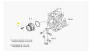 Bomba D'Água Stralis 5801931139 Iveco