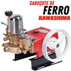 Bomba Kawashima S40F Com Cabeçote de Ferro Ideal Para Uso em Motores á Combustão de 5,0 a 7,0CV