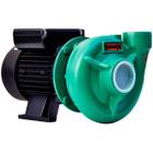 Bomba monoestagio thebe thb-13 1cv trifasica 220/380/440v p55 motor weg - rt95mm