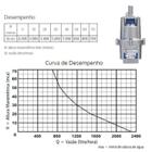 Bomba Submersa Vibratória 450W 900 5G ANAUGER