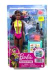 Boneca Barbie Biólaga Marinha Mattel HMH27
