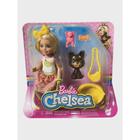 Boneca Barbie Chelsea Com Pets e Acessórios - Mattel