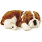 Boneco de Pelúcia Imex Perfect Petzzz Cachorro Bulldog