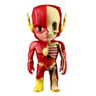 Boneco Flash Liga da Justiça Dc Comics XxRay