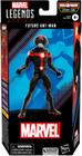 Boneco Marvel Legends Series Homem-Formiga do Futuro F6579 - HASBRO