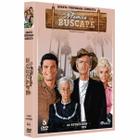 Box Dvd: A Família Buscapé 4ª Temporada Completa