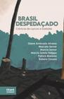 Brasil despedaçado: crônicas de ruptura e barbárie - TIRANT LO BLANCH