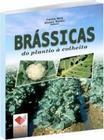 Brássicas: Do plantio à colheita -