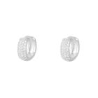 Brinco Masculino Argola Estilo Zirconia De Prata 925