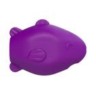 Brinquedo Amicus Fun Toys Fundo do Mar Peixe Roxo para Cães - Tamanho P