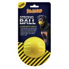 Brinquedo Bola Resistente Cães Strong Ball Pequena Jambo Pet