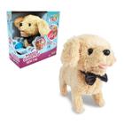 Brinquedo Cachorrinho Com Movimento E Sons - Toyng