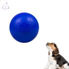 Brinquedo Cachorro Bolinha Anti-stres Bola Com Cravo Pet