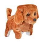 Brinquedo Cachorro Dog Toy Late e Anda Art Brink