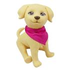 Brinquedo Cachorro Pet Barbie Veterinária 1250 - Pupee