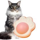 Brinquedo Catnip Erva de Gato 100% Natural Patinha Divertida 1 Uni