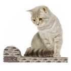 Brinquedo Com Cat Nip Arranhador De Papelão Para Gatos Pets Com Erva Catnip Com Bolinha Interativa Divertida Protetor Sofá Cama Cortina Poste