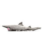 Brinquedo de pelúcia Tiny Heart Simulation Devil Shark para crianças de 3 anos ou mais