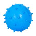 Brinquedo Furacão Pet Bola de Borracha Maciça Mamona Azul para Cães - Tamanho M