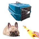 Brinquedo Galinha de Plastico Pet + Caixa Transporte N2 Azul