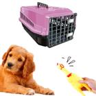 Brinquedo Galinha de Plastico Pet + Caixa Transporte N3 Rosa