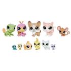 Brinquedo Hasbro Coleção Pet Shop Littlest C1674 Animais De Estim