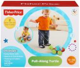 Brinquedo Infantil Empurra Tartaruga Fisher Price Y8652