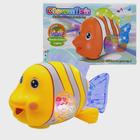 Brinquedo Infantil Peixe Palhaço Com Som Luzes E Movimentos - DBRINQ