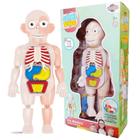 Brinquedo Kit Medico Boneco Corpo Humano 24cm Toyng 42580