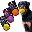 Brinquedo Mordedor Bola Strong Ball para Cães - Grande - Jambo Pet