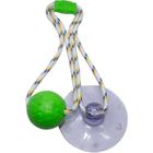 Brinquedo Mordedor Puxador Para Pet Cães E Gatos Push Ball Bola Bolinha Médio 55cm Cor Verde Com Ventosa Divercão